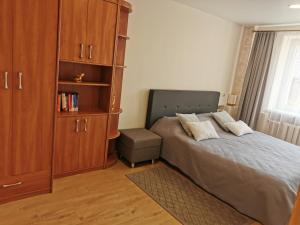 een slaapkamer met een bed en een boekenplank bij Central Apartments Nojus in Druskininkai