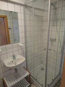 y baño con ducha y lavamanos. en Haus Wangen Studio en Burg-Reuland	