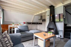 sala de estar con sofá y chimenea en Stijlvolle vakantiewoning just for holliday, en Gramsbergen