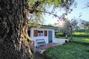 Fotografia z galérie ubytovania Casa il Banano v destinácii Massarosa