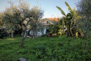 Fotografia z galérie ubytovania Casa il Banano v destinácii Massarosa