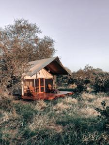 a tent in a field with chairs in it at Honeyguide Tented Safari Camp - Khoka Moya in Manyeleti Game Reserve
