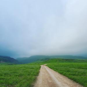 a dirt road in the middle of a green field at G R A N D C H A L E T in Salalah