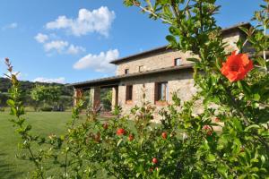 A garden outside Agriturismo Le Macie
