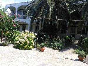 Gallery image of Margarita Apartments in Preveza