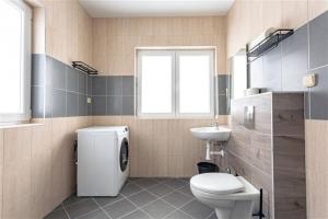 een badkamer met een toilet en een wastafel bij Hostel IRON CUBE in Stružná
