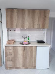 Kuchyň nebo kuchyňský kout v ubytování Apartman Radojković