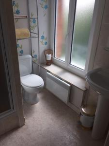 baño con aseo y lavabo y ventana en Les hortensias, en Grand-Fougeray