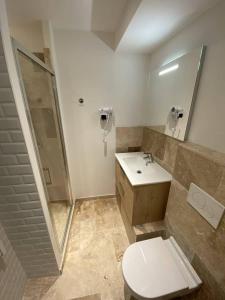 a bathroom with a toilet and a sink and a shower at L'Arche de Porquerolles in Porquerolles