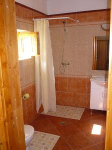 W łazience znajduje się prysznic, toaleta i umywalka. w obiekcie Vadregény Vendégház w mieście Vámosmikola