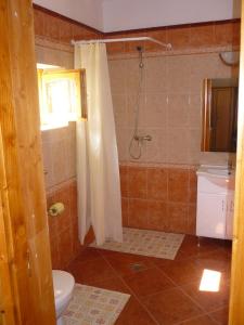 a bathroom with a shower and a toilet and a sink at Vadregény Vendégház in Vámosmikola