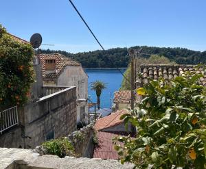 a view of a body of water from a street at Sweet Old Stone House Cavtat in Cavtat