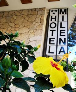 una flor amarilla delante de un edificio con un cartel en Hotel Milena, en Rímini