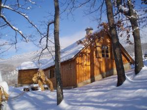 una baita di tronchi nella neve con alberi di Guest House Tara Canyon a Pljevlja