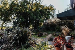 希尔顿The Croft的有盆栽植物和树木的花园