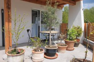 a group of potted trees in pots on a patio at Arber Lofts in Bayerisch Eisenstein