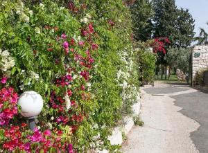 A garden outside Villa Morenanoemi - private pool
