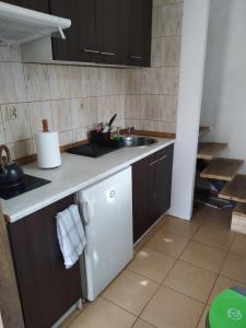 eine Küche mit einer Spüle und einer Arbeitsplatte in der Unterkunft Willa Słowianka in Polanica-Zdrój