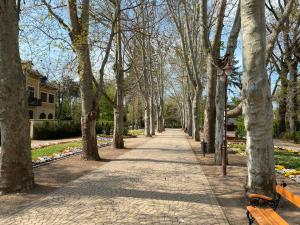 chodnik w parku z drzewami i ławką w obiekcie Gosztonyi Villa w Siófoku