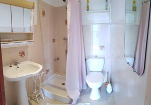 a bathroom with a toilet and a sink and a shower at Maison village Corse in Santa-Maria-Siché +50 photos
