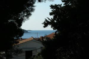 Fotografie z fotogalerie ubytování Whole villa in Primošten v Primoštenu