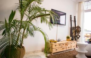 een palmplant in een kamer met een houten dressoir bij Un cocon en plein centre ville! En Caze LONDON in Libreville