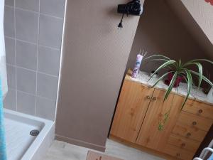 a bathroom with a plant on a wooden dresser at petit coin au calme in Baulon