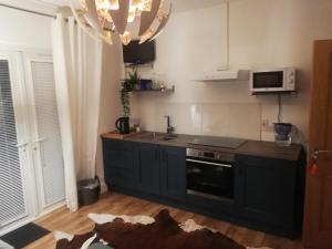 a kitchen with a sink and a stove at Forest Path luxury Studio Apartment with large bedroom bathroom and sauna Sleeps up to 4 in Ballynahinch