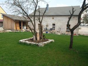 deux arbres dans une cour devant une maison dans l'établissement Ferienhaus Villa Kunnibunt, à Burgsalach