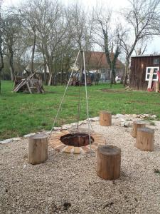a fire pit in a park with wooden stumps at Ferienhaus Villa Kunnibunt in Burgsalach