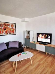 Una sala de estar con un sofá y un televisor. en Le 79 Reflet de la Marne, en Noisy-le-Grand