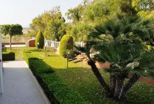 un giardino con una palma e un marciapiede di Capo Rizzuto Home a Capo Rizzuto