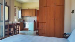 Virtuve vai virtuves zona naktsmītnē Vasiliki Apartments