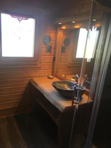 Kylpyhuone majoituspaikassa Chalet le Grizzly