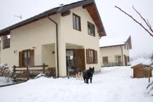 Trilly Bed & Breakfast durante l'inverno