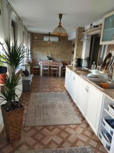 een keuken met witte kasten en een potplant bij FloMar by the Sea in Mangalia