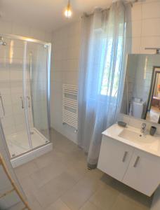 y baño con ducha y lavamanos. en Le Clos Saint Gilles, T5, village viticole, en Ladoix Serrigny