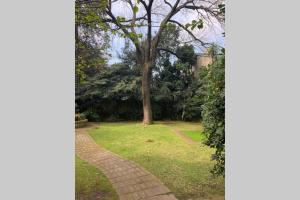 Vườn quanh Espectacular departamento en el corazón de Martinez