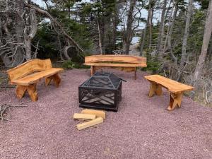 a group of picnic tables and benches in the woods at Dildo Boathouse Inn in Dildo