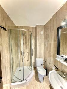 een badkamer met een douche, een toilet en een wastafel bij Vila Luminita in Sîngeorz-Băi