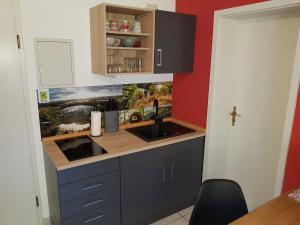 une petite cuisine avec évier et comptoir dans l'établissement Zimmerappartement "Rose" - Ferienwohnungen Wagner & Gaul, à Falkenauel