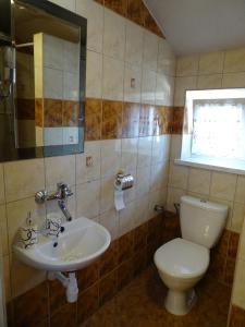 a bathroom with a toilet and a sink at Pokoje u Danusi in Sromowce Niżne +25 photos