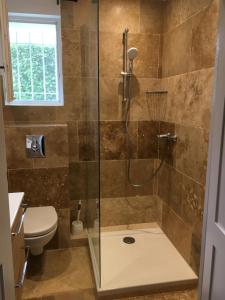 a bathroom with a shower and a toilet at Clos des Iris in Moustiers-Sainte-Marie