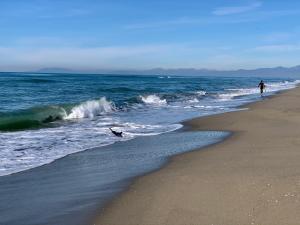 a person walking on the beach next to the ocean at Villa Luminosa in Torre del Lago Puccini