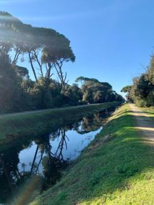 a canal of water next to a road at Villa Luminosa in Torre del Lago Puccini