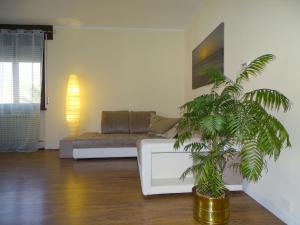 a living room with a couch and a palm tree at Casa Dàmoli in Negrar