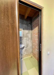 a bathroom with a shower and a toilet at Cozy cottage in countryside close to Tbilisi in Dushetʼi