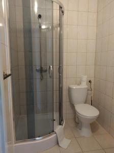 カルパチにあるPensjonat Syriuszのバスルーム(シャワー、トイレ付)
