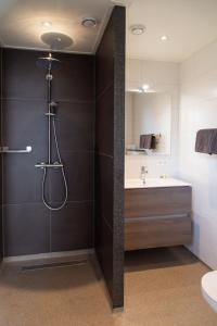 a bathroom with a shower and a toilet and a sink at Vrijstaande vakantiewoning Petite Renard in Zoutelande +6 photos