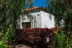 Vonkajšia záhrada v ubytovaní Bungalow Villa Verde 2